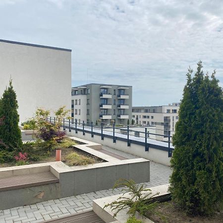 Astoria Apartment - Pet Friendly Braszów Zewnętrze zdjęcie