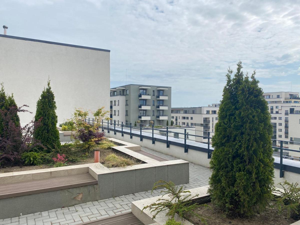 Astoria Apartment - Pet Friendly Braszów Zewnętrze zdjęcie